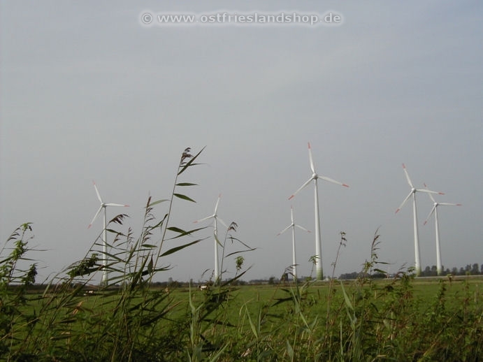 Windmühlen Windmühlen