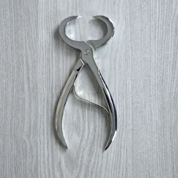 Rysumer Kluntjeknieper