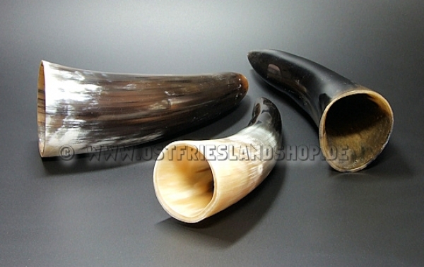 Trinkhorn ca. 0,1Liter bis 0,2 Liter Inhalt