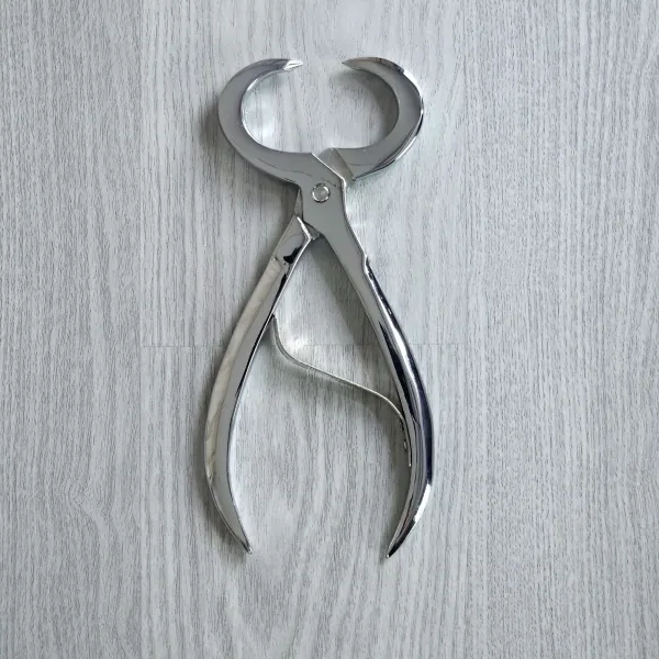 Rysumer Kluntjeknieper